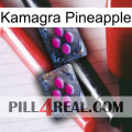 Kamagra Pineapple 01